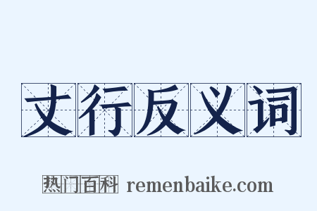 丈行反义词是什么意思的图片